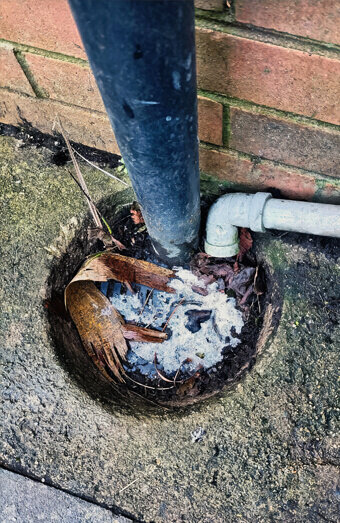 https://plumberfloreat.com.au/uploads/2025/06/blocked-drains-294506.jpg