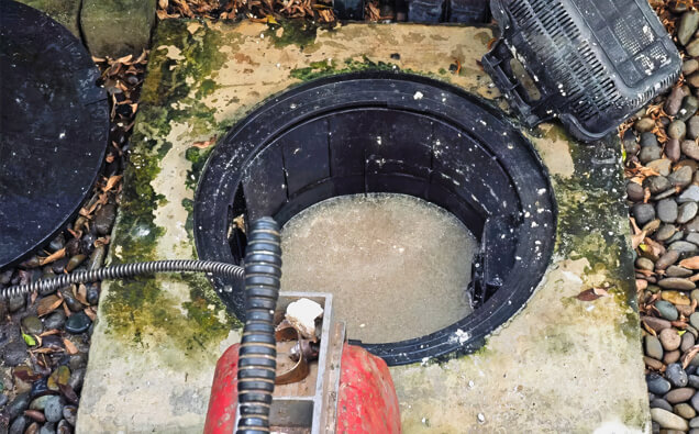https://plumberfloreat.com.au/uploads/2025/06/blocked-drains-820453.jpg
